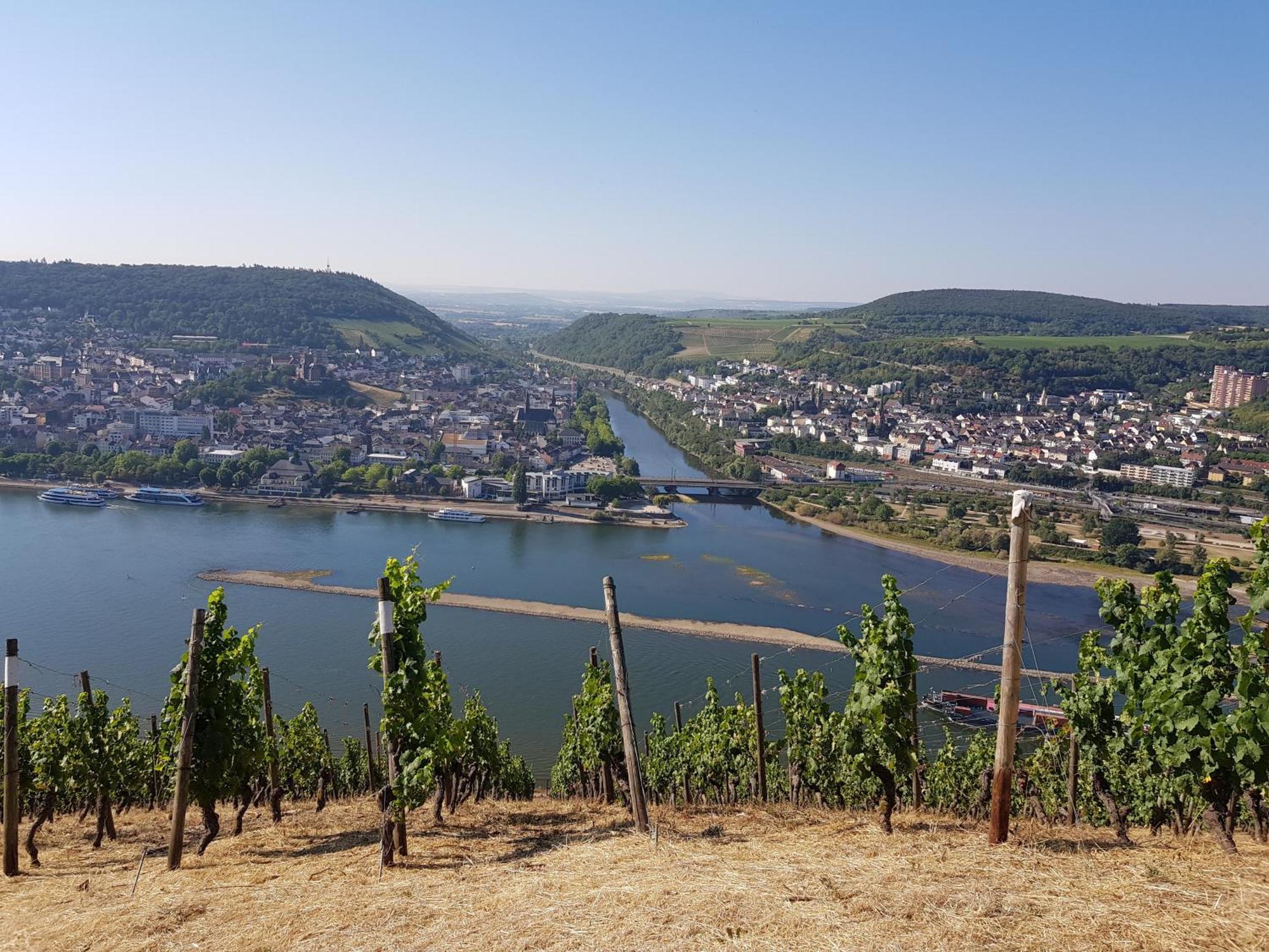 Ferienwohnung - A67931 Rüdesheim am Rhein Buitenkant foto