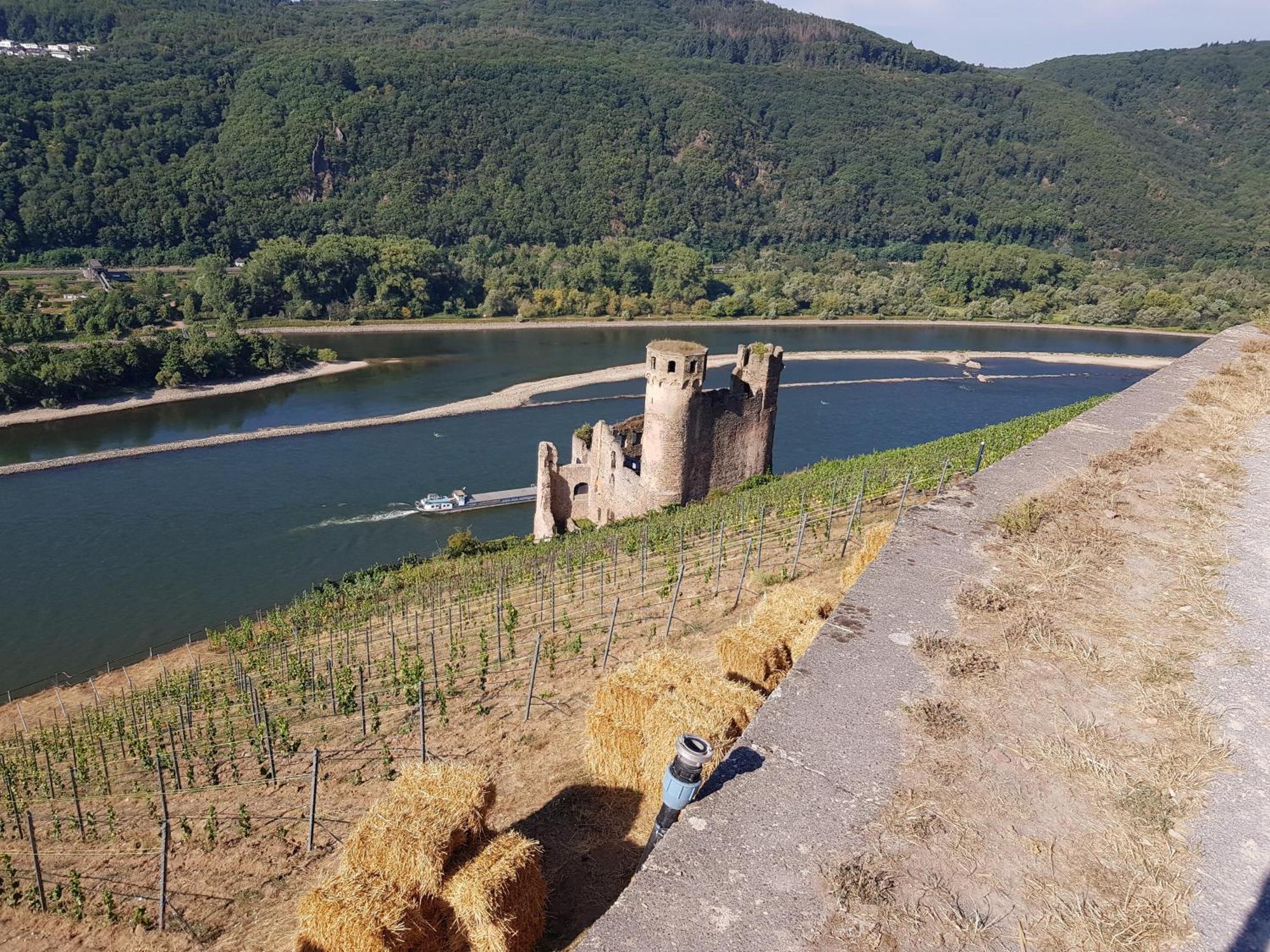 Ferienwohnung - A67931 Rüdesheim am Rhein Buitenkant foto